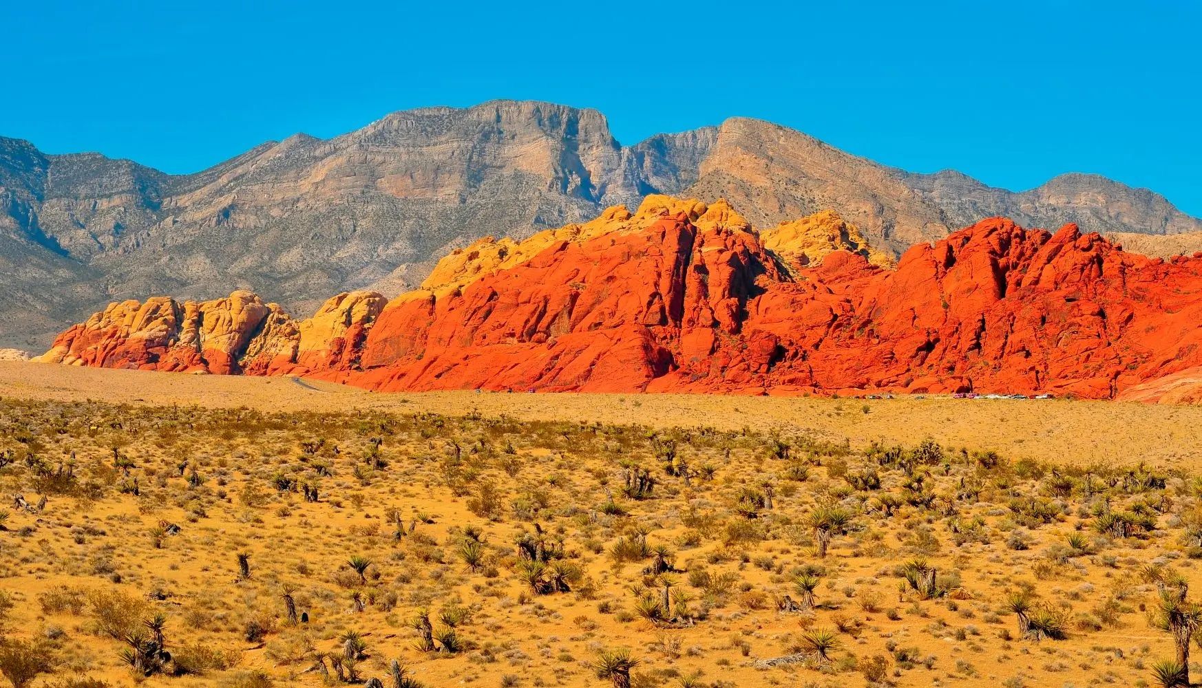 Fairchild Gold: Trump Media-SPAC-Star Orlando stockt auf 12 Mio. Aktien auf!