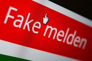 «Fake melden» steht auf dem Button einer Website
