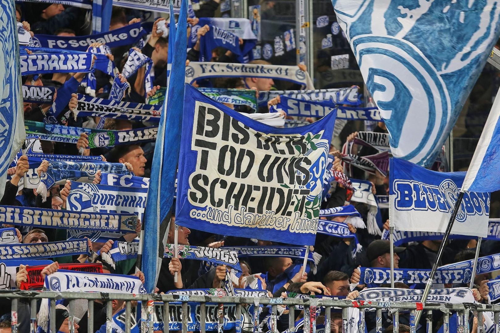 Fans von Schalke 04 (Archiv)