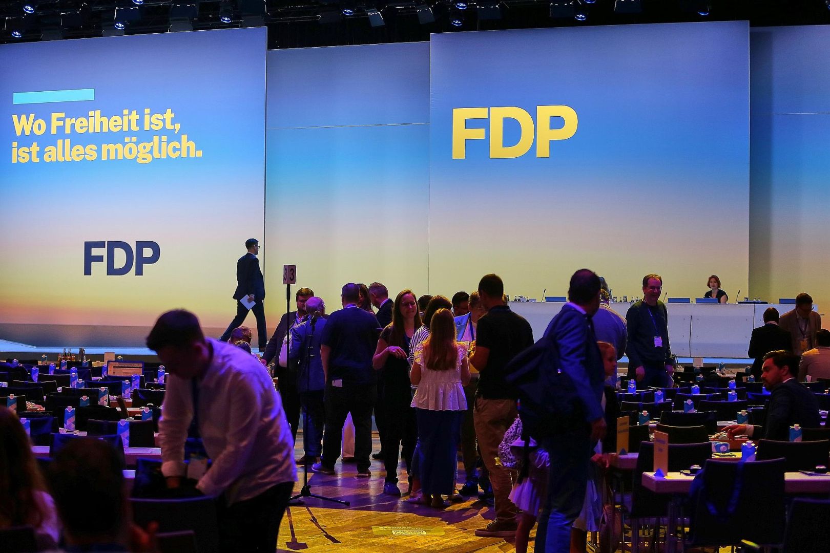 FDP-Parteitag (Archiv)