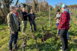 Forscher untersuchen Eignung als CO2-Speicher