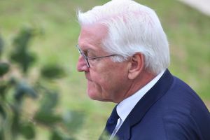 Frank-Walter Steinmeier (Archiv)