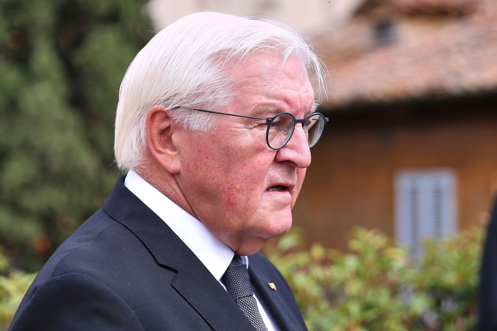 Frank-Walter Steinmeier (Archiv)