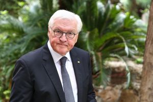 Frank-Walter Steinmeier (Archiv)
