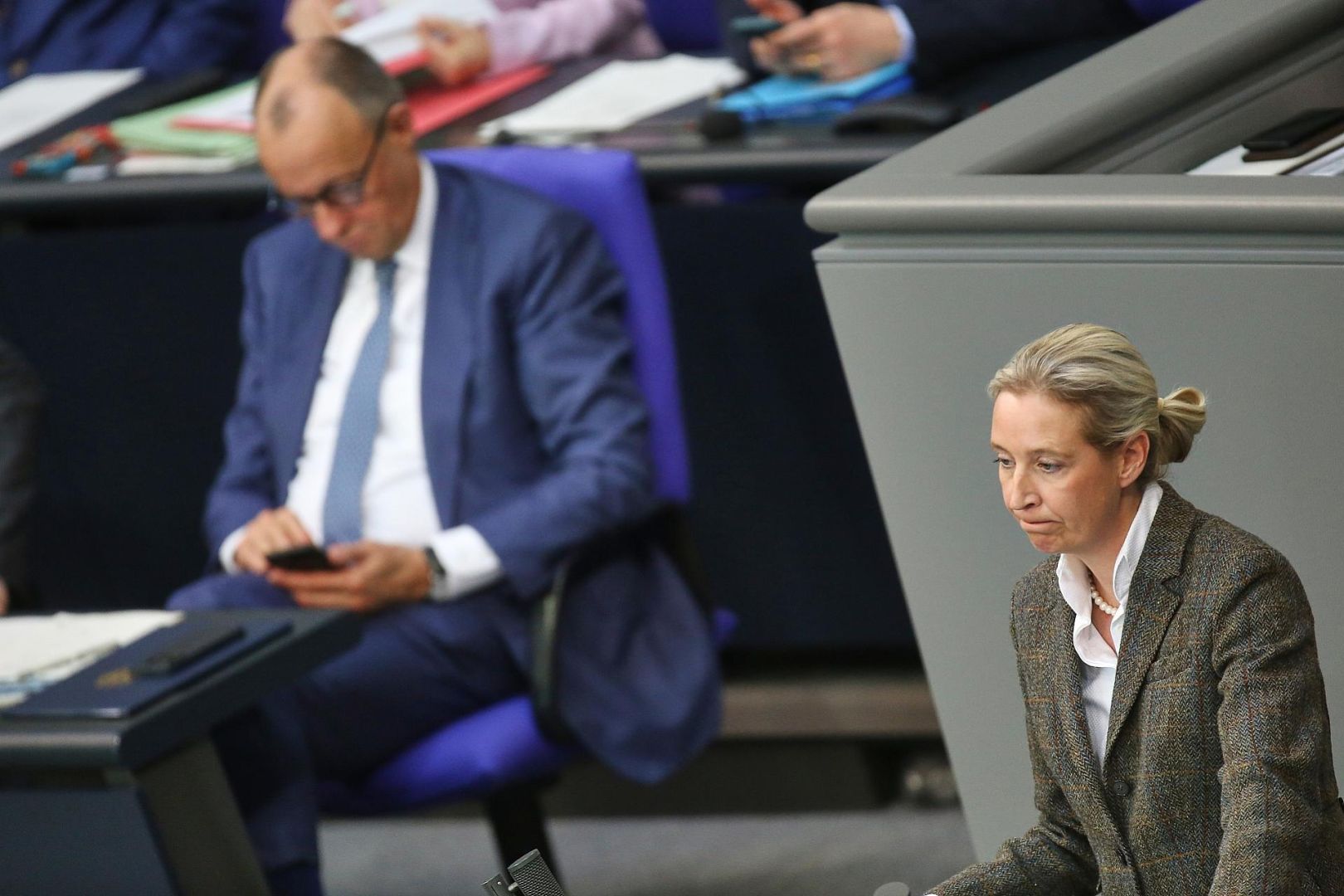 Friedrich Merz und Alice Weidel (Archiv)