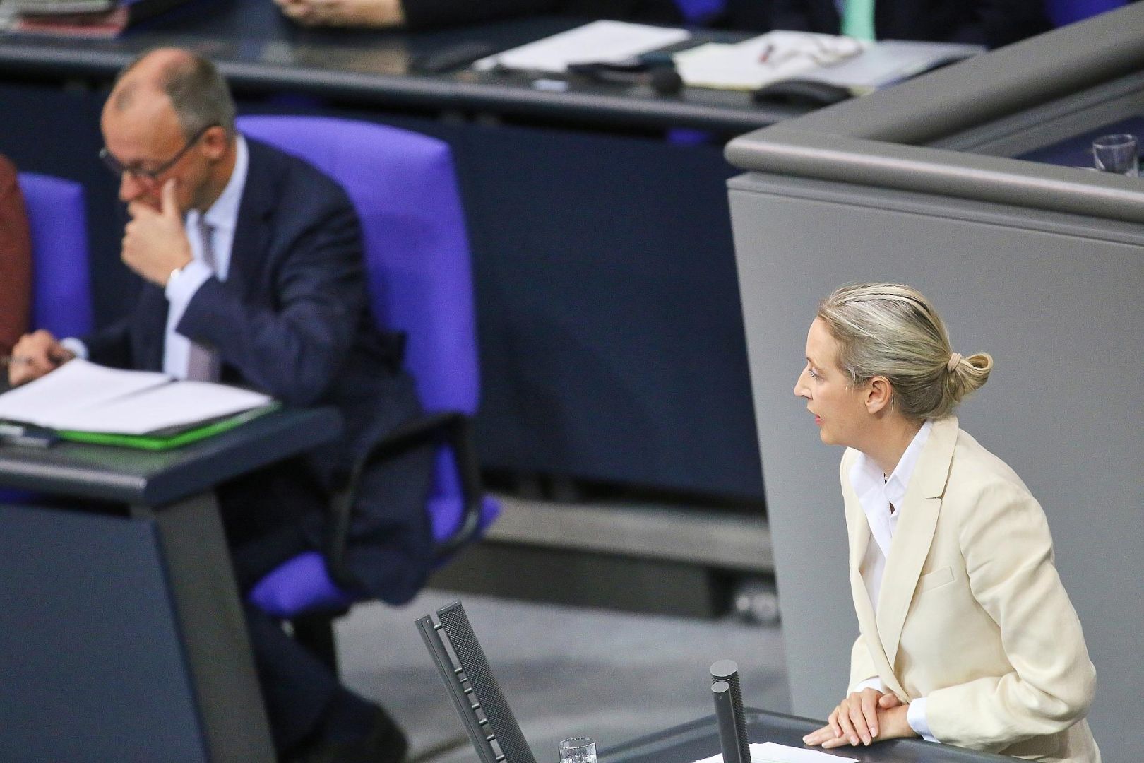 Friedrich Merz und Alice Weidel (Archiv)