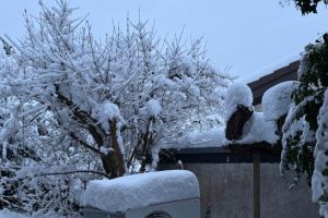 Frostig draußen, wohlig drinnen