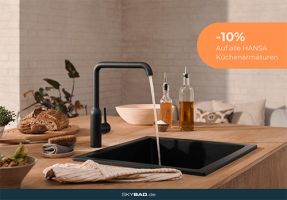 Frühjahrsaktion: Skybad reduziert Hansa-Spültischarmaturen