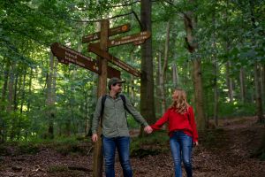 Frühjahrsblüher entdecken - Afterwork-Wanderung