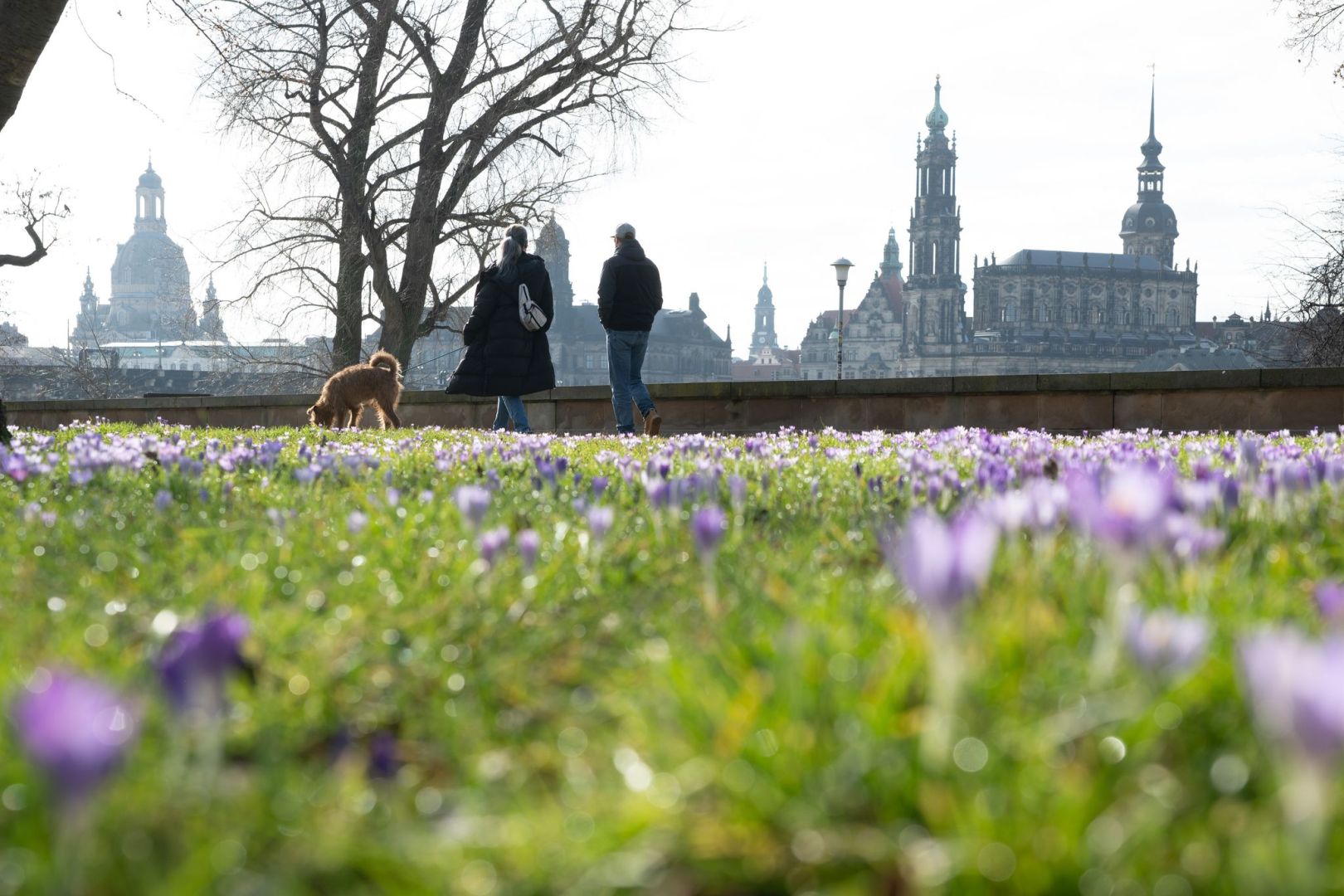 Frühling in Sachsen