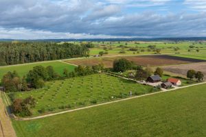 Führungen im Botanischen Obstgarten Donau-Ries