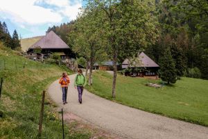 Fünf intensive Tage mit Rucksack und Schlafsack – Hüttentrekking-Tour im Südschwarzwald