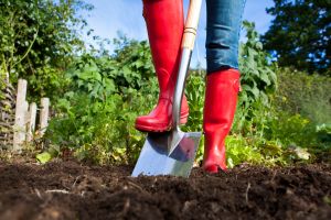 Garten aufräumen und Rasen fit machen - So gelingt es!