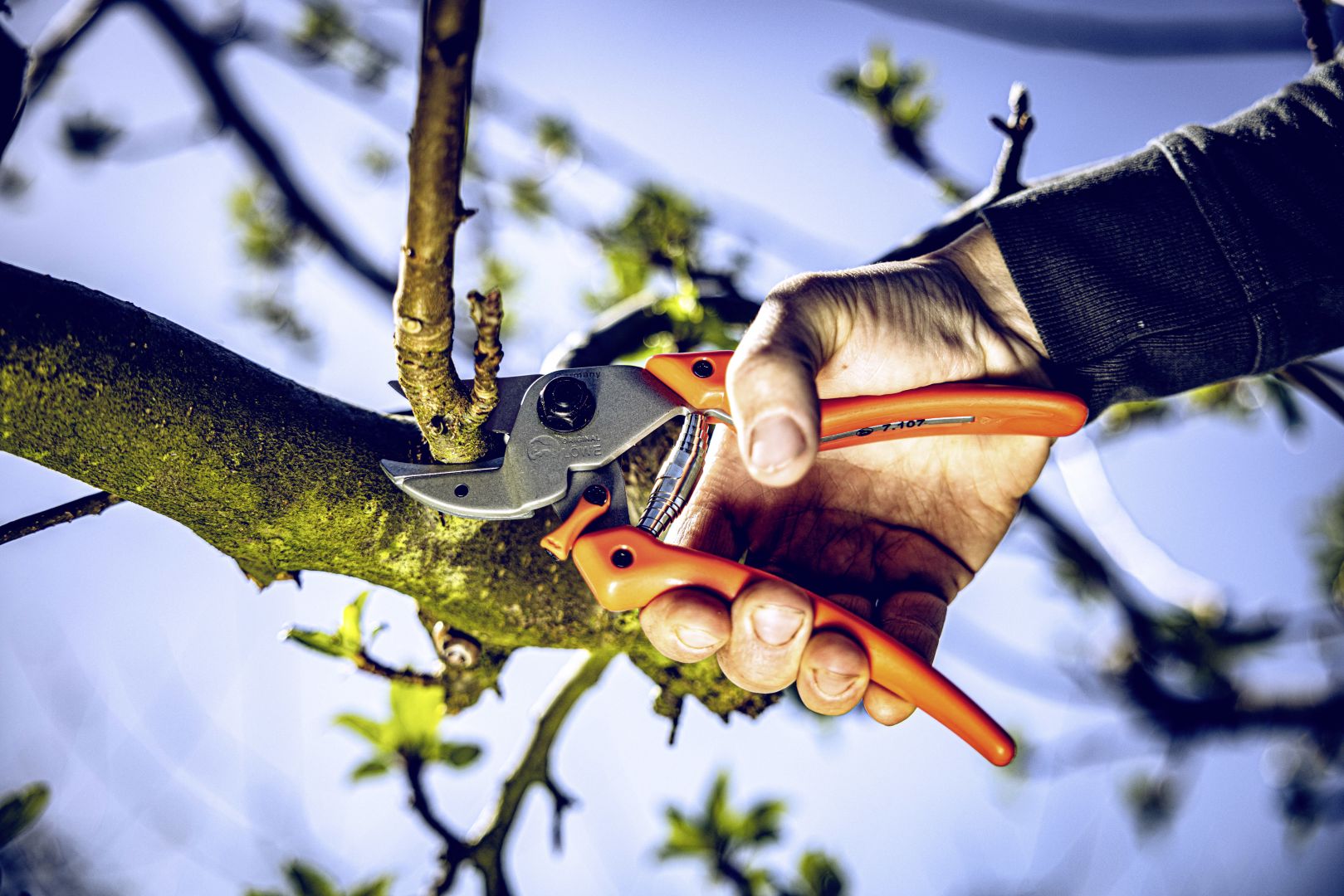 Gartenscheren mit Amboss-Technik neu gedacht