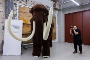 Gehäkeltes Mammut - Rekord