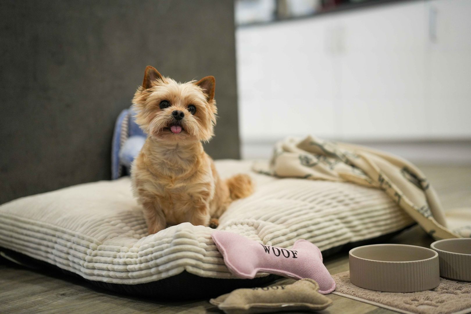 Geldfalle Tierprodukte?