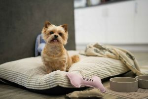 Geldfalle Tierprodukte?