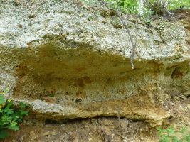 Geoparkführung Geotope Kühstein Mönchsdeggingen