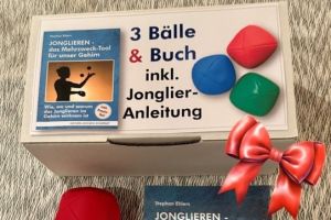 Geschenkidee: 3 Bälle & Buch inkl. Jonglier-Anleitung – Preis 29,90 €