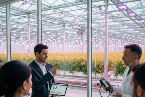 Gewaechshaus Check: Fachportal bietet umfassende Expertise und Orientierung im Markt