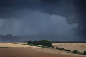 Gewitterwolken über Getreidefeldern