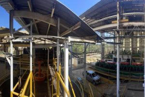 Gold und Silber im Vergleich