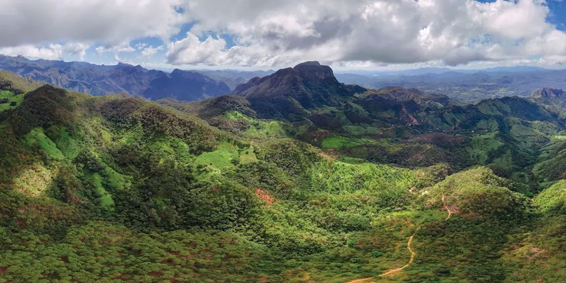 Gold- und Silberübernahme in Mexiko: Torex Gold legt 449 Mio. CAD auf den Tisch!