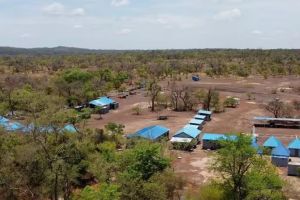 Gold weltweit begehrt bei Notenbanken