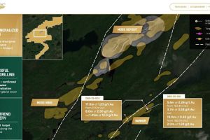 Gold X2 entdeckt zwei mineralisierte Scherzonen im Deaty Trend Darunter 17,0 m mit 1,23 g/t Au