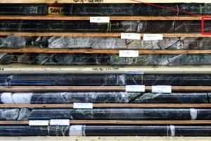 Goliath mit Raketenstart ins Jahr 2026: Bis 19,13 g/t Gold und 100% Trefferquote!