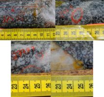 Goliath Resources: Massenhaft sichtbares Gold in erneut untersuchten Bohrkernen!