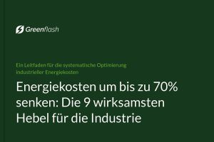 Greenflash veröffentlicht Leitfaden zur systematischen Senkung industrieller Energiekosten