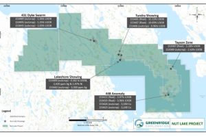 Greenridge Exploration bestätigt hochgradiges Uran bei seinem Uranprojekt Nut Lake, einschließlich einer Probe von 31,13 % U3O8 bei seinem Vorkommen Tundra