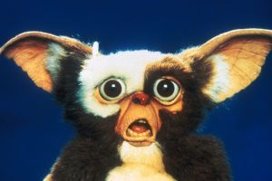 Gremlin