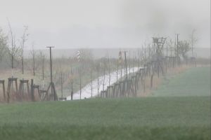Grenze zwischen Polen und Deutschland (Archiv)