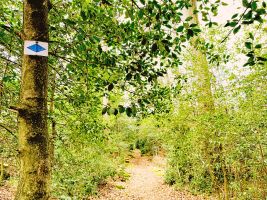 Grenzgänger im Nordschwarzwald: „Historische Runde“ rund um Dobel