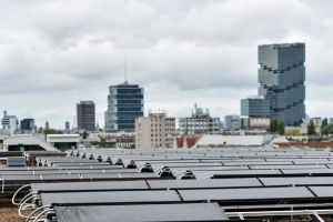 Grüne Energie vom grünen Dach