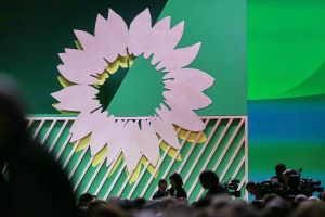 Grünen-Sonnenblume (Archiv)