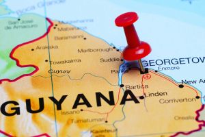 Guyana füttert sich selbst – und den Rest der Welt?