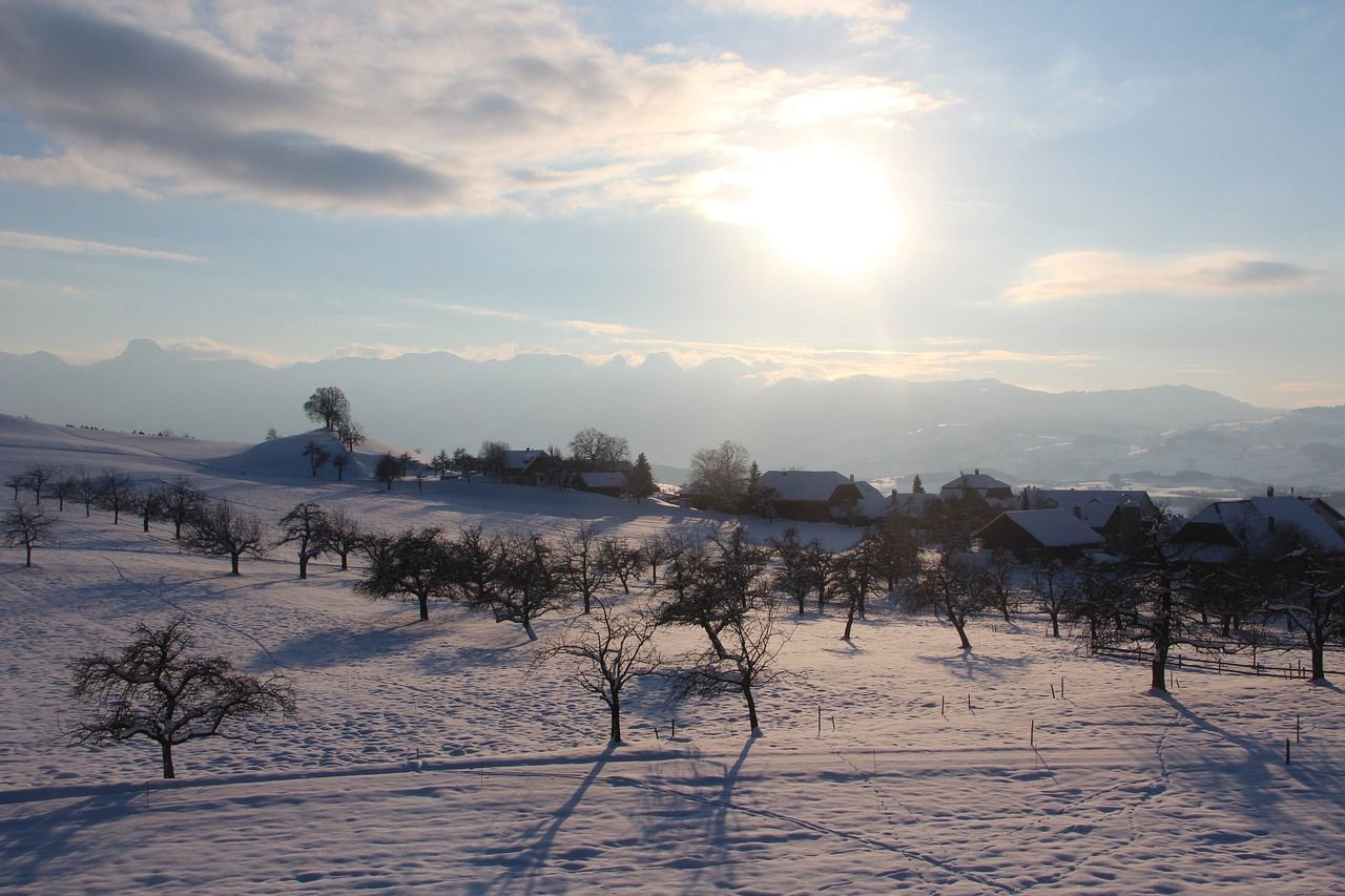 häutligen, natur, nature, winter, snow, schnee