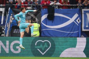 Hamburger SV - TSG 1899 Hoffenheim