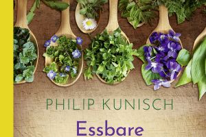 Heilpflanzen vor unserer Haustüre