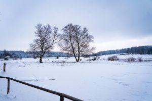 heiterer winterblick auf schneebedeckte bäume und felder in lenningen, deutschland.