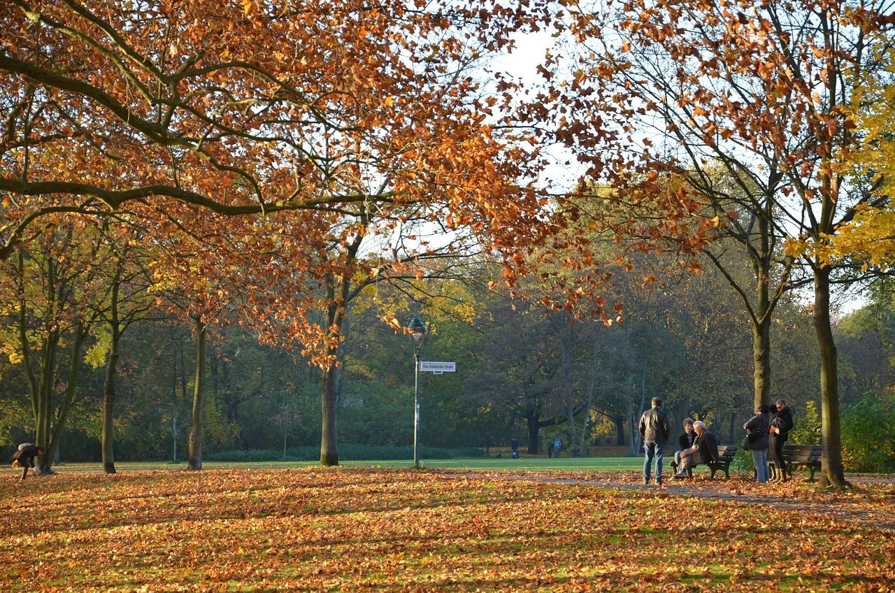 herbst, nature, tree, october, colorful, autumn, fall
