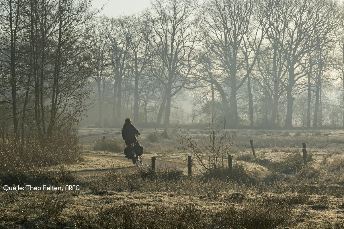 Herbstliches Radeln: Sicher und mit voller Energie