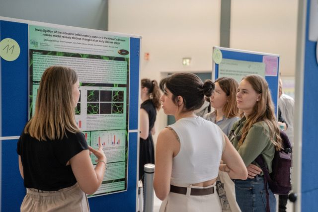 Hochschulen in Rheinland-Pfalz erhalten Promotionsrecht für forschungsstarke Fachrichtungen