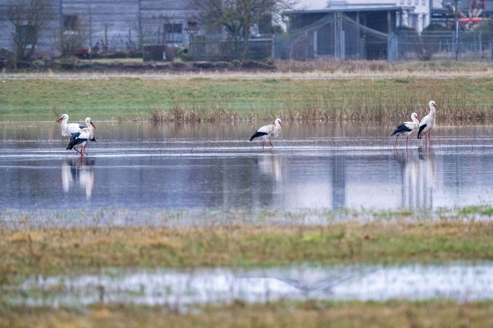 Hochwasser in Bayern