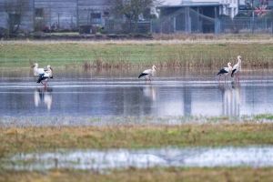 Hochwasser in Bayern