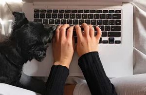 Homeoffice mit Hund und Katze: So gelingt konzentriertes Arbeiten mit tierischen Kollegen