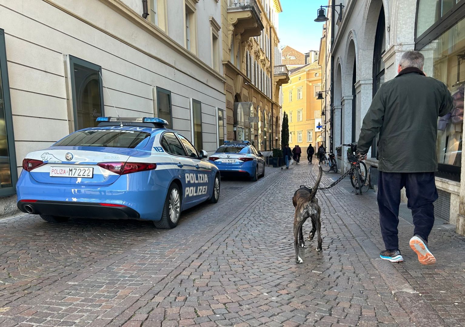 Hunde in Bozen
